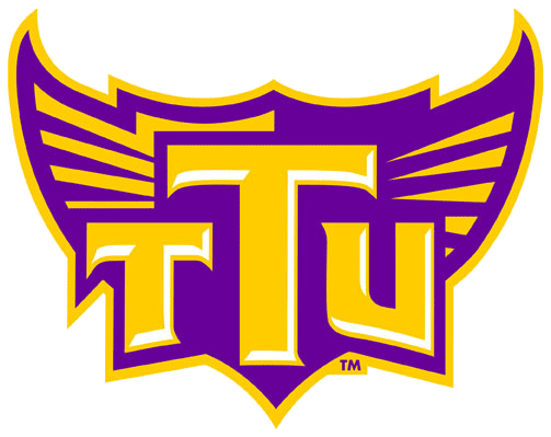 Tennessee Tech Golden Eagles 2006-Pres Alternate Logo v8 iron on transfers for T-shirts